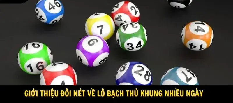 Cách Săn Bạch Thủ Lô Đẹp – Bí Quyết Hiệu Quả Cho Người Mới